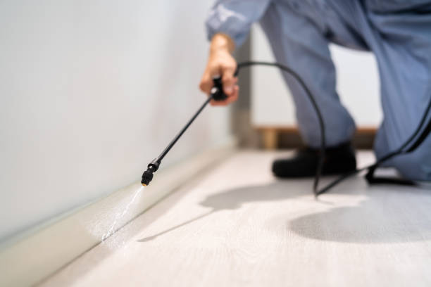 Licensed Fumigation Services service in Dunn Loring, VA - Nex Pest Control