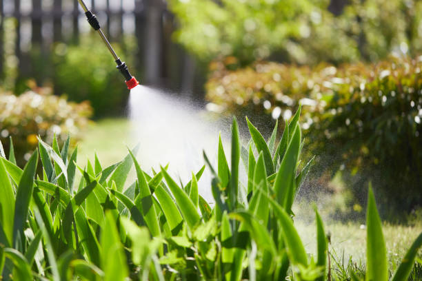 24/7 Emergency Fumigation Services experts in Dunn Loring, VA