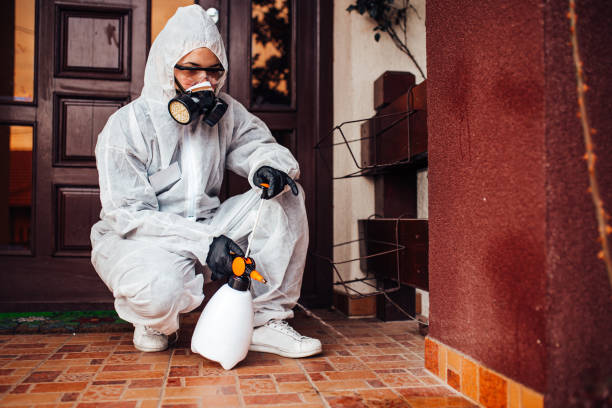 Reliable Fumigation Services contractor in Dunn Loring, VA by Nex Pest Control