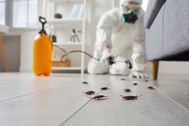 Trusted Fumigation Services service in Dunn Loring, VA - Nex Pest Control