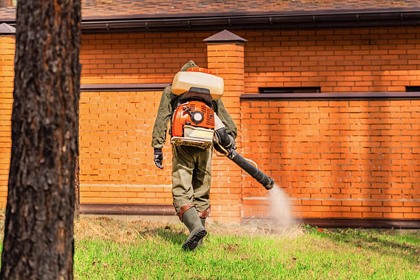 Trusted Cockroach Control service in Dunn Loring, VA - Nex Pest Control